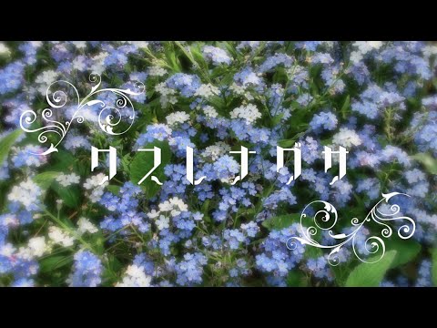 ワスレナグサ / 初音ミク feat. SHiMiKO