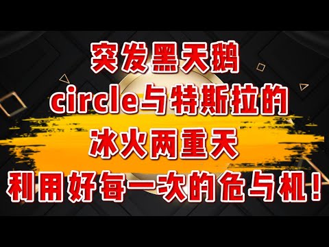 突发黑天鹅！马斯克与川普事态升级，特斯拉危？！ circle与特斯拉的冰火两重天！ 利用好每一次的危与机！Tesla，Circle，nvda，LLY，TEM，HIMS#america #crypto