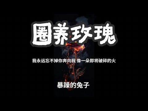 圈养玫瑰 - 暴躁的兔子「我永远忘不掉你奔向我 像一朵即将破碎的火」 【动态歌词Lyrics】