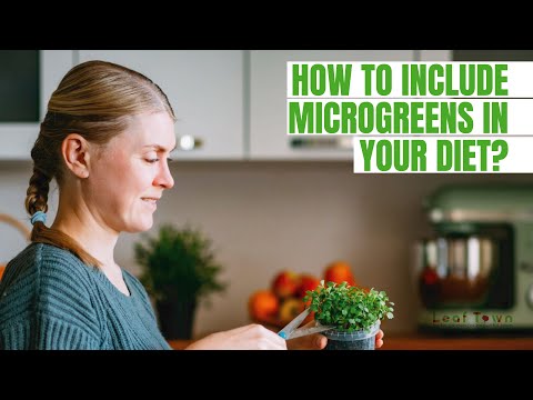 How to Include Microgreens in Your Diet? Microgreens | Microgreens recipes | Leaf Town