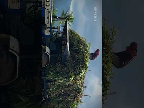 இனிய பொங்கல் நல்வாழ்த்துக்கள்