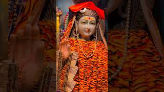 #gogapeersong #babasabalsingh #gurugorakhnath #gogajimaharaj