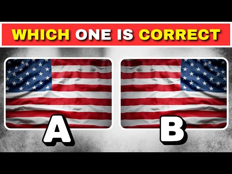 🇺🇳 Guess the Correct Flags | सही झंडा पहचानो Quiz 🇮🇳🇯🇵🇫🇷🇧🇷#quizcrime #gkquiz #monkeyquiz #quizblitz
