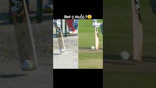 මොකක්ද මේ ගැන කියන්නේ😌 #cricketshorts #cricketedit #cricketlover #ytcricketshorts