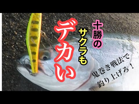 【サクラマス釣り】鬼巻き戦法で釣り上げろ！の巻き