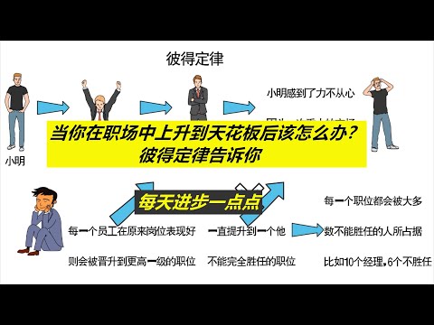 每天进步一点点——职场中上升到天花板后怎么办？彼得定律告诉你