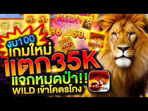 สล็อตpgเกมใหม่ pgเกมใหม่ล่าสุด เกมใหม่ค่ายpg สล็อตแตกง่าย