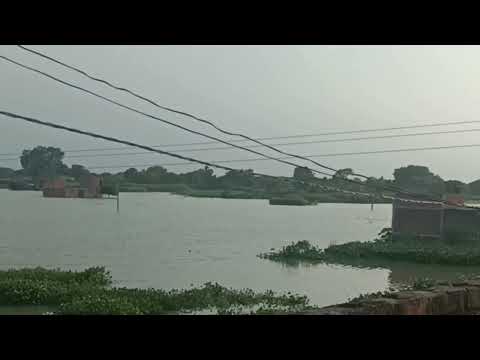मतसा मंझरिया में बाढ आ गया...😱🌊#rasidahamad #funny #flood #aarahnews #biharnews 