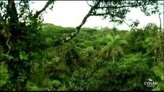 Costa Rica, Adventure, Nature, Ecofriendly, Green.