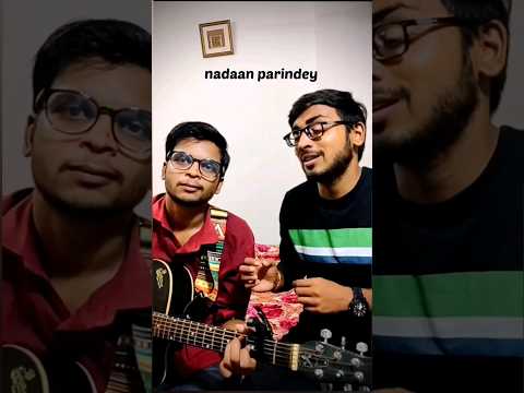 nadaan parindey #guitarcover #guitar #music