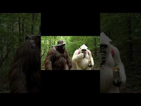 It’s hard to hunt with Ralph… #bigfoot #yeti #wildlife #ai #bigfootvlog #selfiestick #dropbear #haha