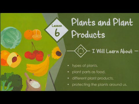 ICSE/GRADE 3/SCIENCE/CHAPTER 6/PLANTS AND PLANT PRODUCTS