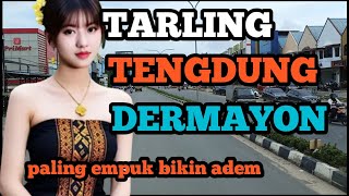 TARLING INDRAMAYU_PALING EMPUK BIKIN ADEM SAAT MENGEMUDI @toyobringin3238 