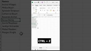 How to Undo quickly in Microsoft Excel