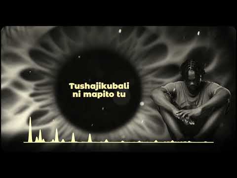 1. Echo 254 - Shukuru (Lyric Visualizer)