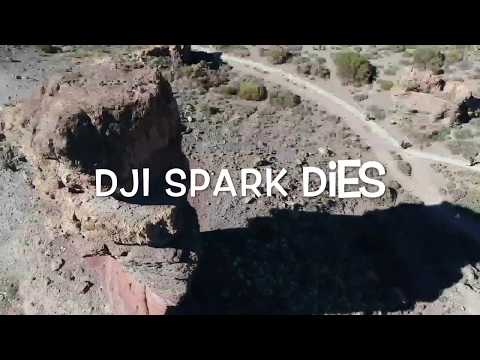 Sparky’s End