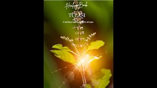 This sacred plant is auspicious, healing and now available as healing picturebook