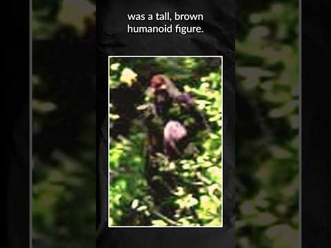 Real Bigfoot (Dogman?) Photo | The Beast of Seven Chutes #paranormal #funfacts #scarystories