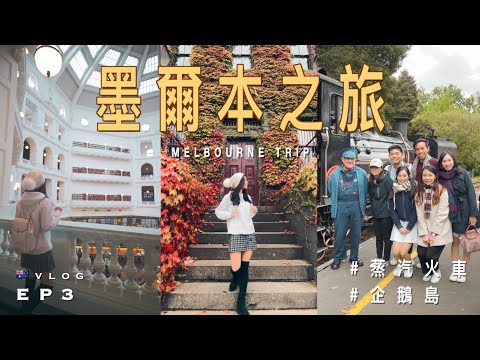 【🇦🇺墨爾本之旅】EP3 百年歷史蒸汽火車 Puffing Billy Railway｜參觀澳洲最古老圖書館 State Library Victoria｜遊覽企鵝島 Philip Island