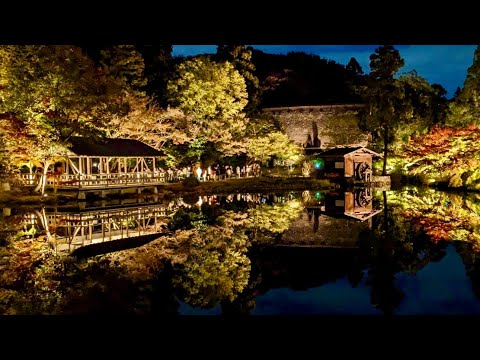 紅葉ライトアップ 名古屋市東山動植物園2023年