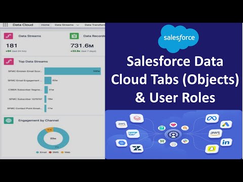 Salesforce Data Cloud Tabs(Objects) and User Roles | Cloud Developer