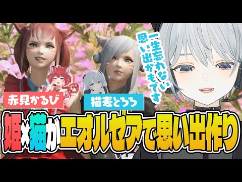 【The k4sen FF14】配信時間12時間越え！？ミラプリとスクショの旅がやめられない姫と麦かもです！- FINAL FANTASY XIV｜© SQUARE ENIX【猫麦とろろ/赤見かるび】