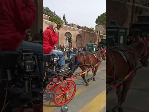 Colosseum Rome Italy,Waking Around Rome Colosseum @Travelandpicture