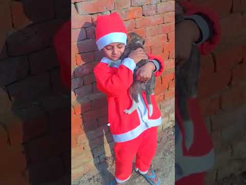 Merry Christmas ⛄🎄(Desi Santa 😅) #gaamilifestyle #crazyfrog #viralshort