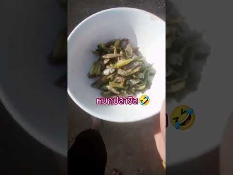 หมกปลาซิล ทำให้คนอิสานส่วนมากคิดถึงบ้านเกิด #อิสานบ้านเฮา #อิสานส้มแข่ว #ของกิ๋นบ้านเฮา