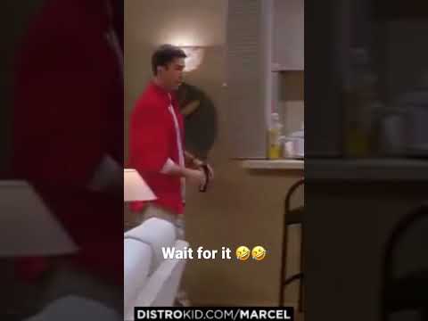 🤣🤣 this what we call ,God's Manifestation lol ,wait for it