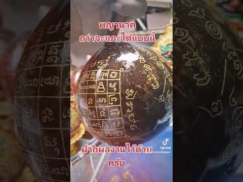 #ของขลัง #​กะลาตาเดียว #​พญานาค​ https://vt.tiktok.com/ZS8Ty7huP/