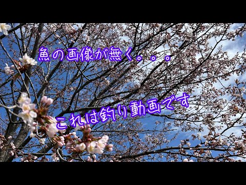 2025.5.14  北海道！新規開拓！日高方面へ！
