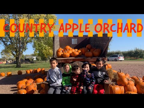 KIDS! APPLE ORCHARD