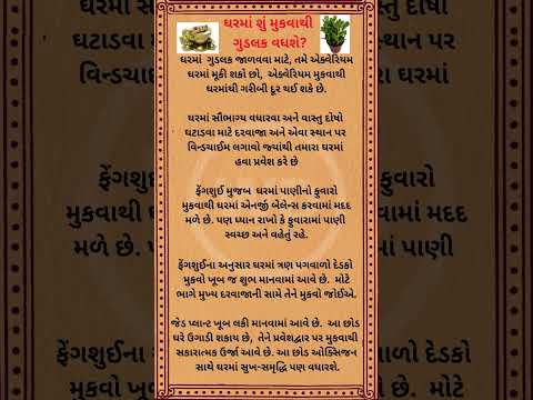 ઘરમાં શું મુકવાથી ગુડલક વધશે