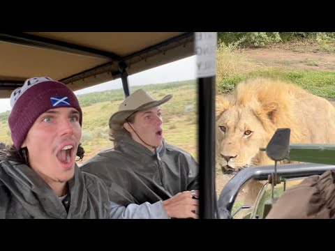 I CAN’T BELIEVE WE SAW THIS!!