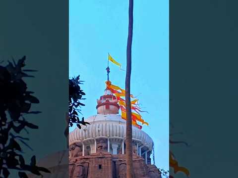 ଜଗତରେ ପାଇବୁନି ଏମନ୍ତି ଠାକୁର ଟିଏ#purijagannathtemple #odiajagannathbhajan #jagannathstatus#viralshort