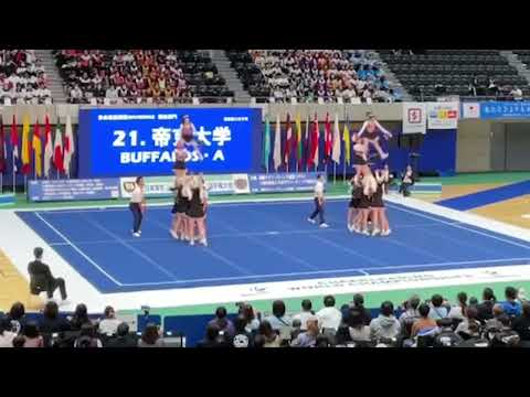 2023.11.25〜11.26 第35回全日本チアリーディング学生選手権大会【DIVISION.2帝京大学A】