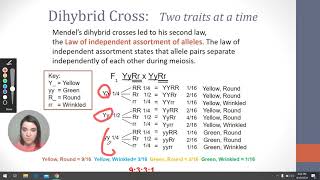 Genetics Lecture-Forked Line Method