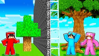 I Cheated with a PROFESSIONAL Builder in a Building Competition Challenge...