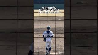 周りは任せちゃうからね #ソフトバンク #慶應 #プロ野球 #大学野球