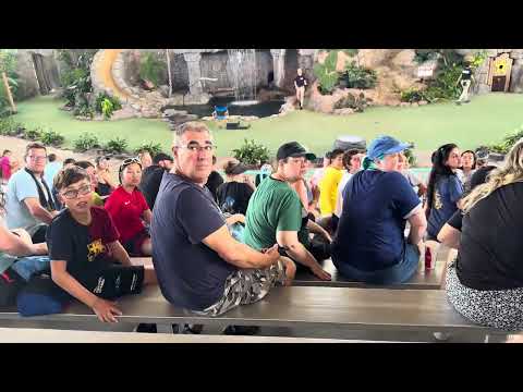 Famous PET show Florida Orlando Universal Studio #like #roadtoo100subs #subscribe #shortvideo #show 