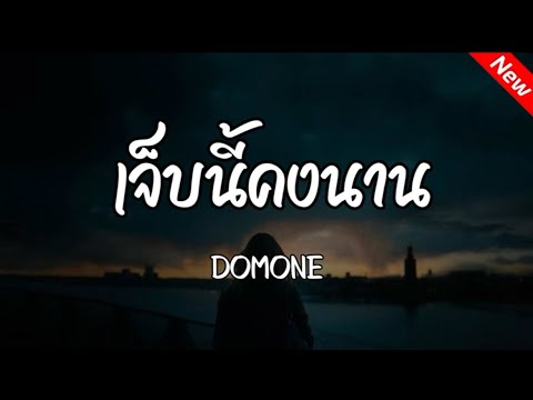 เจ็บนี้คงนาน - DOMONE (Official Audio)