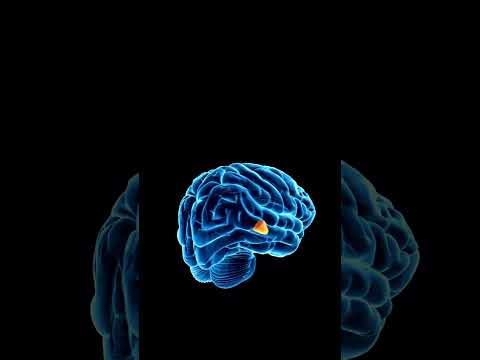 🧠🤯 #meditation #meditationtechniques #yoga #meditationmindfulness #wellness #mentalwellness
