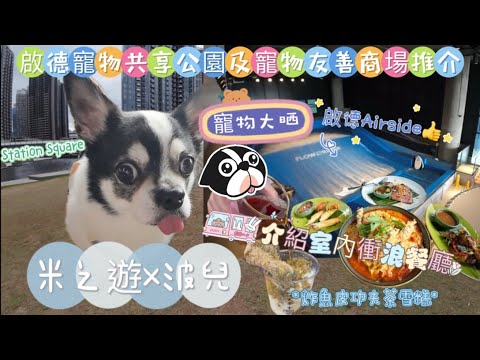 [啟德]寵物共享公園｜寵物友善商場|Airside｜室內衝浪餐廳｜炸魚皮功夫茶雪糕｜啟德車站廣場｜Kai Tak Station Square｜ #啟德站 #airside #啟德 #寵物