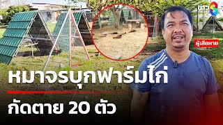 หมาจรบุกฟาร์มไก่ กัดตาย 20 ตัว | 13 มี.ค. 68 | คุยข่าวเช้าช่อง8