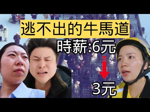越能吃苦，命越苦。他們要逃離牛馬的無盡輪迴，內卷的盡頭是越南？