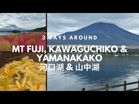 Best things to do around Mt Fuji 🇯🇵: Lake Kawaguchiko, Lake Yamanakako & Views of Mt Fuji