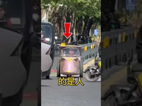 中國馬路上神奇的小小汽車