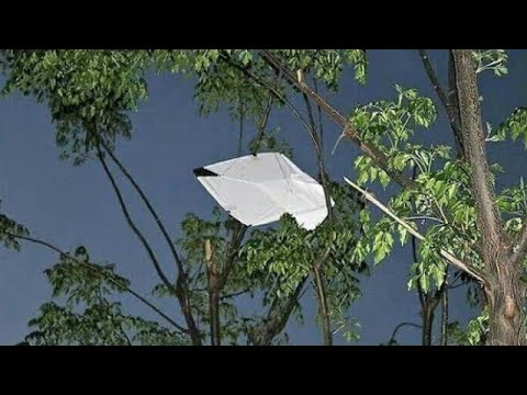 kite Flying Pattang Bazi 6G kup Flight In Lahore Part ( 2 ) #kiteflying #lahore #viral #patangbazi