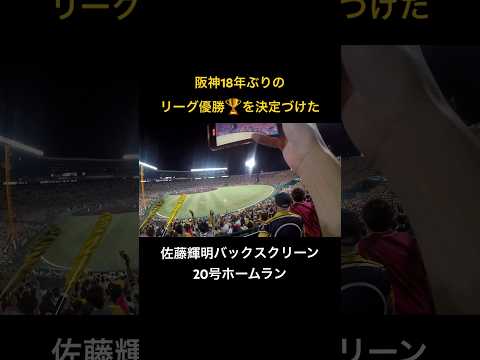 佐藤輝明20号優勝決定ホームラン　#阪神タイガース #優勝